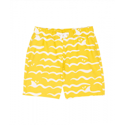 A0D4F02.png