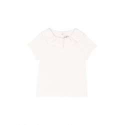 A0DCO01.png